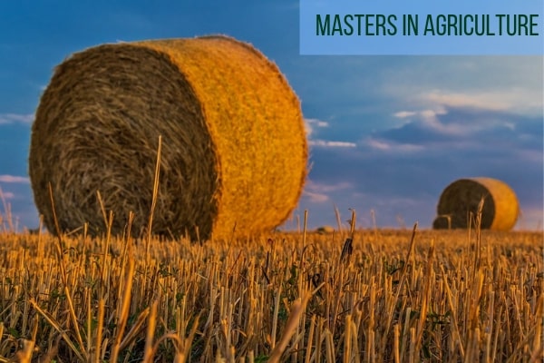 MSc Agriculture 